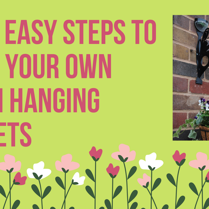 6 Easy Steps to Grow Your Own Chilli Hanging Basket! | Flory's Online