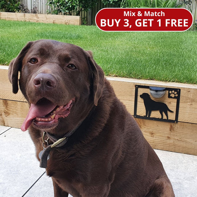 Labrador Dog Solar Light Wall Plaque