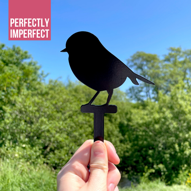 IMPERFECT- Robin Stake
