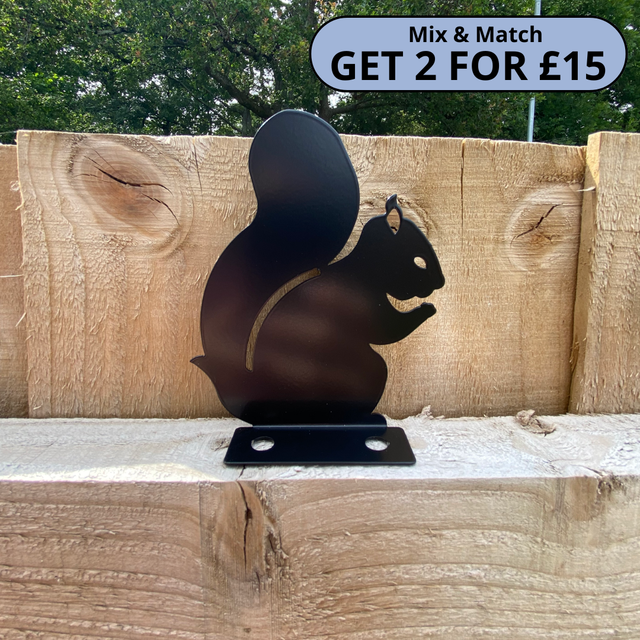 Squirrel Fence Topper