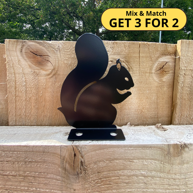 Squirrel Fence Topper