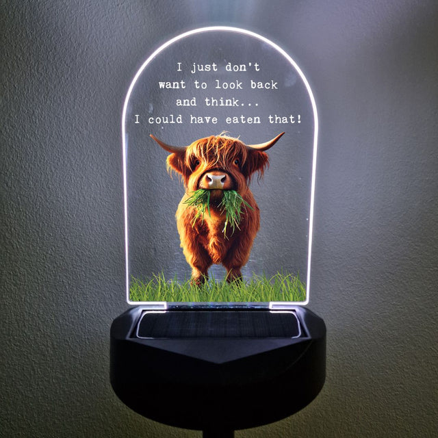 'I just don't want to look back' Highland Cow Solar Stake