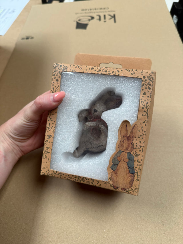 IMPERFECT - Beatrix Potter Flopsy Bunny Plant Pot Hanger
