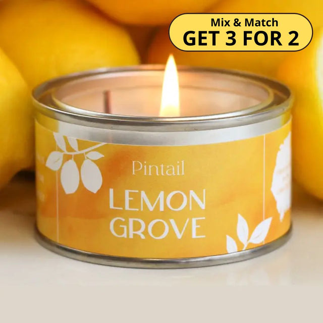 Lemon Grove Paint Pot Candle