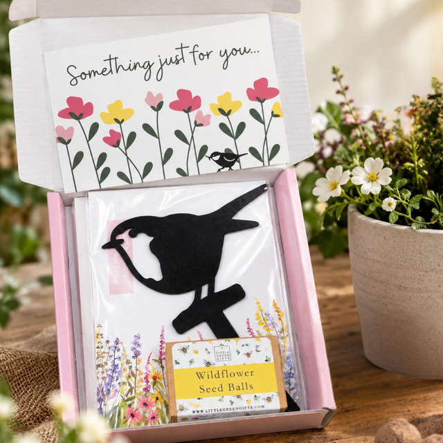 Robin Stake + Wildflower Seed balls Gift Set