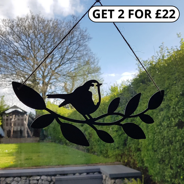 Robin On A Branch Hanging Sign