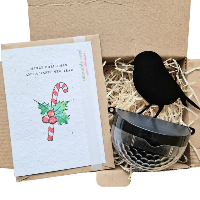 Merry Christmas Seeded Card Gift Set