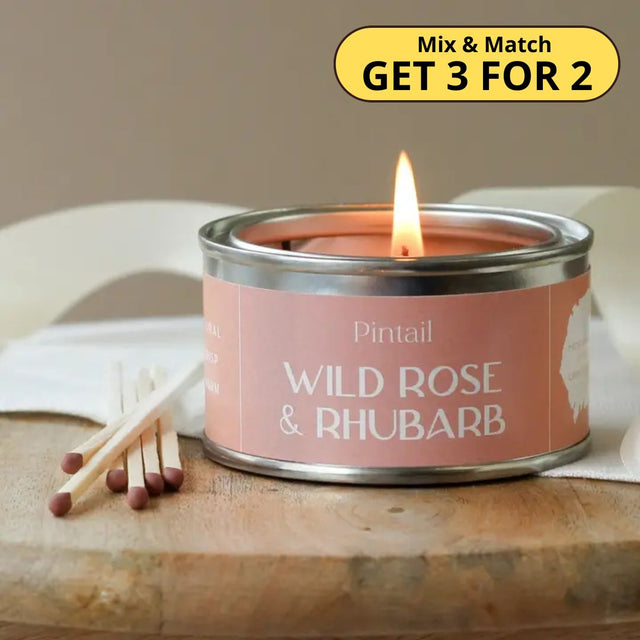 Wild Rose & Rhubarb Paint Pot Candle
