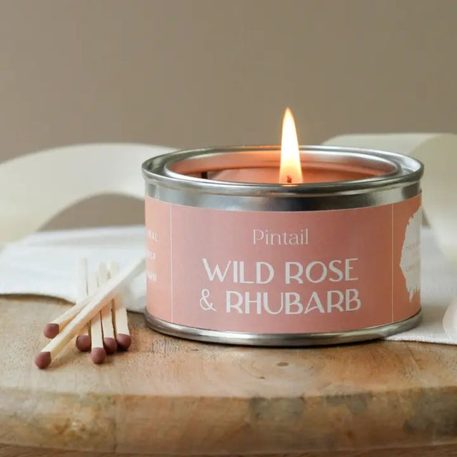 Wild Rose & Rhubarb Paint Pot Candle