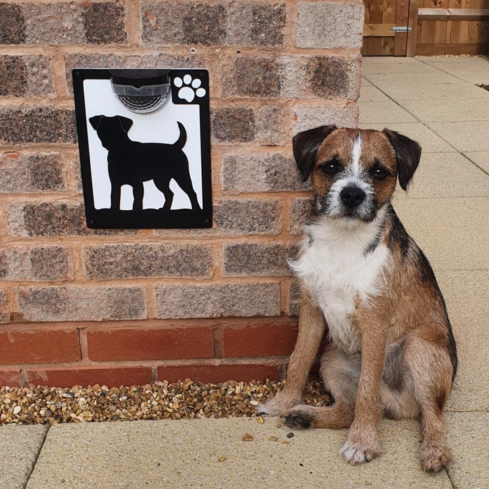 Border Terrier Dog Solar Light Wall Plaque