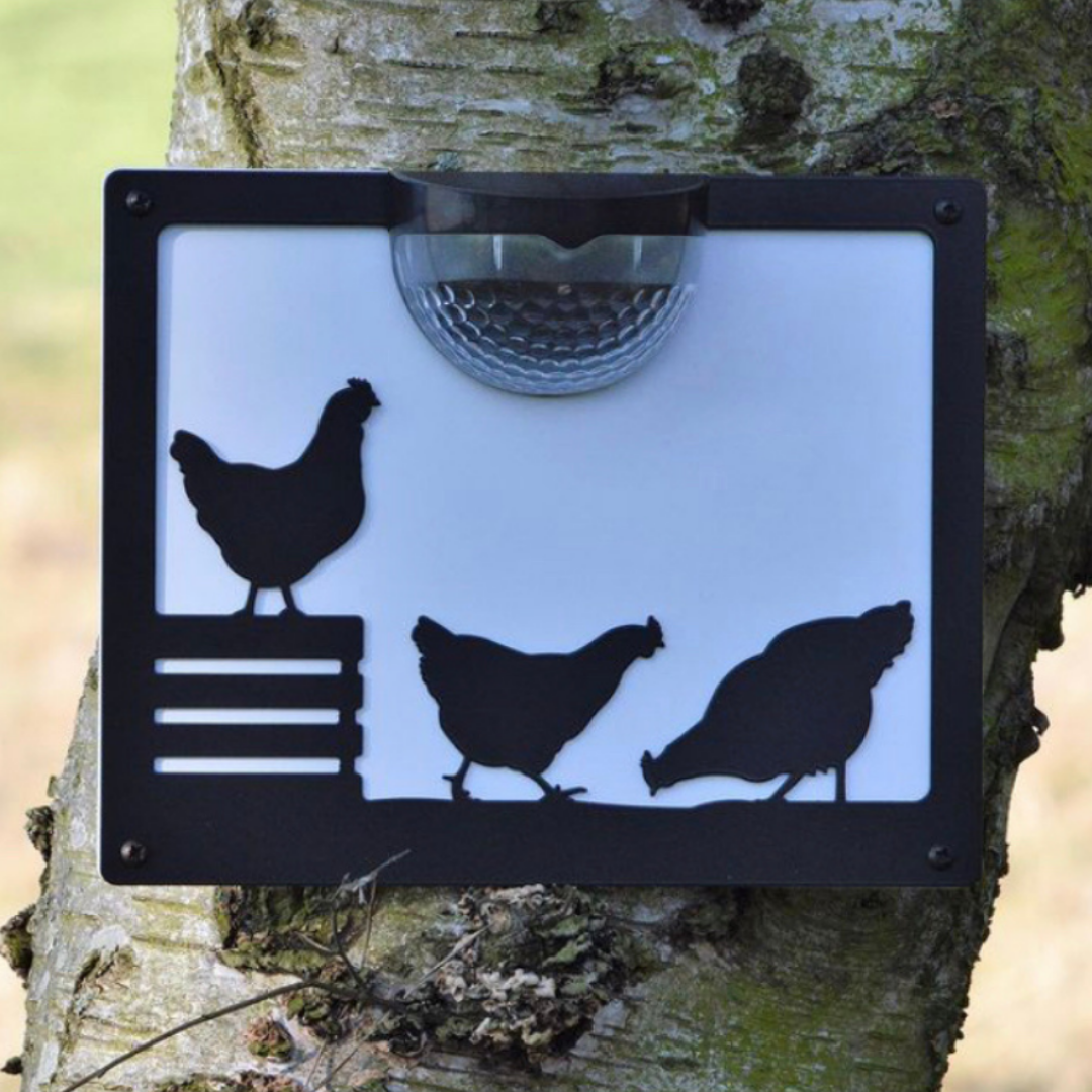 Chicken SolarPowered LED Light Wall Plaque Flory's Online