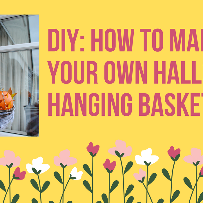 DIY: How to Make Your Own Halloween Hanging Baskets! | Flory's Online