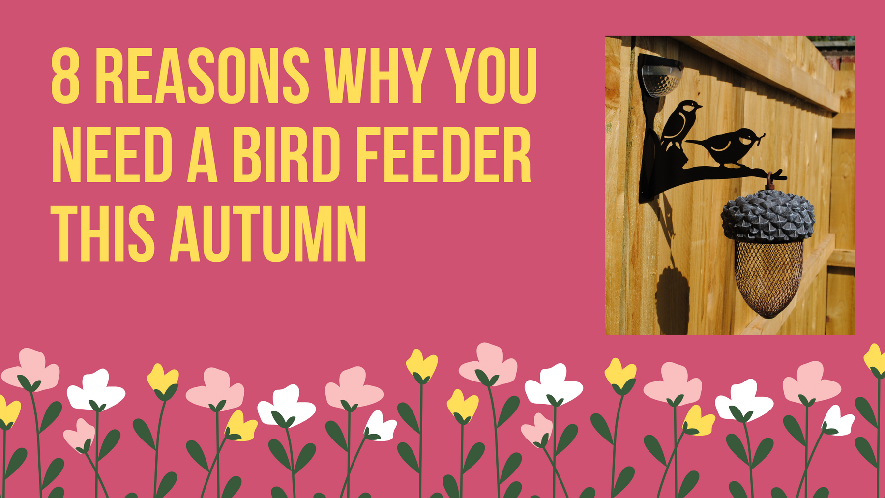 8 Reasons Why You Need A Bird Feeder This Autumn | Flory's Online