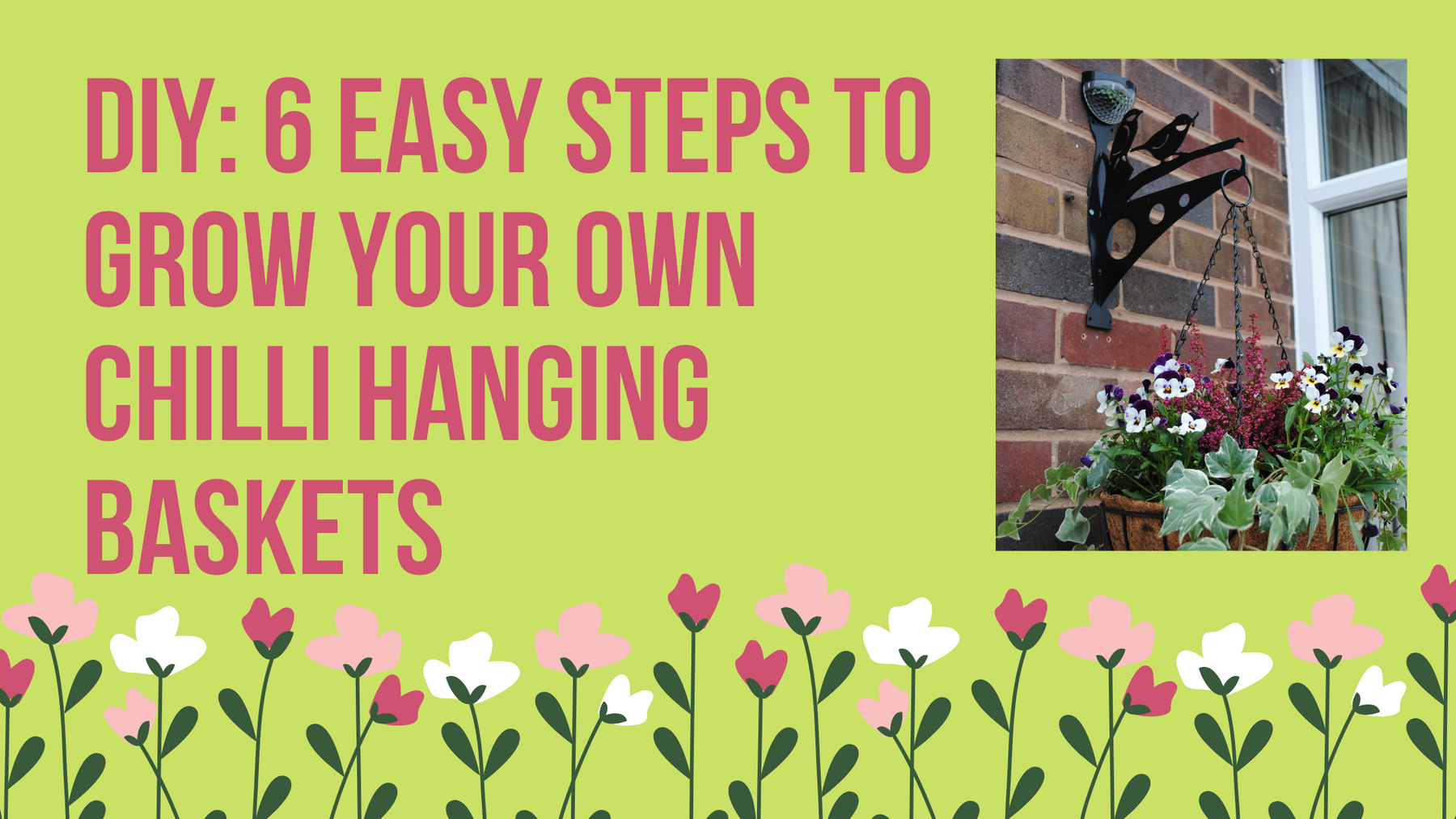 6 Easy Steps to Grow Your Own Chilli Hanging Basket! | Flory's Online