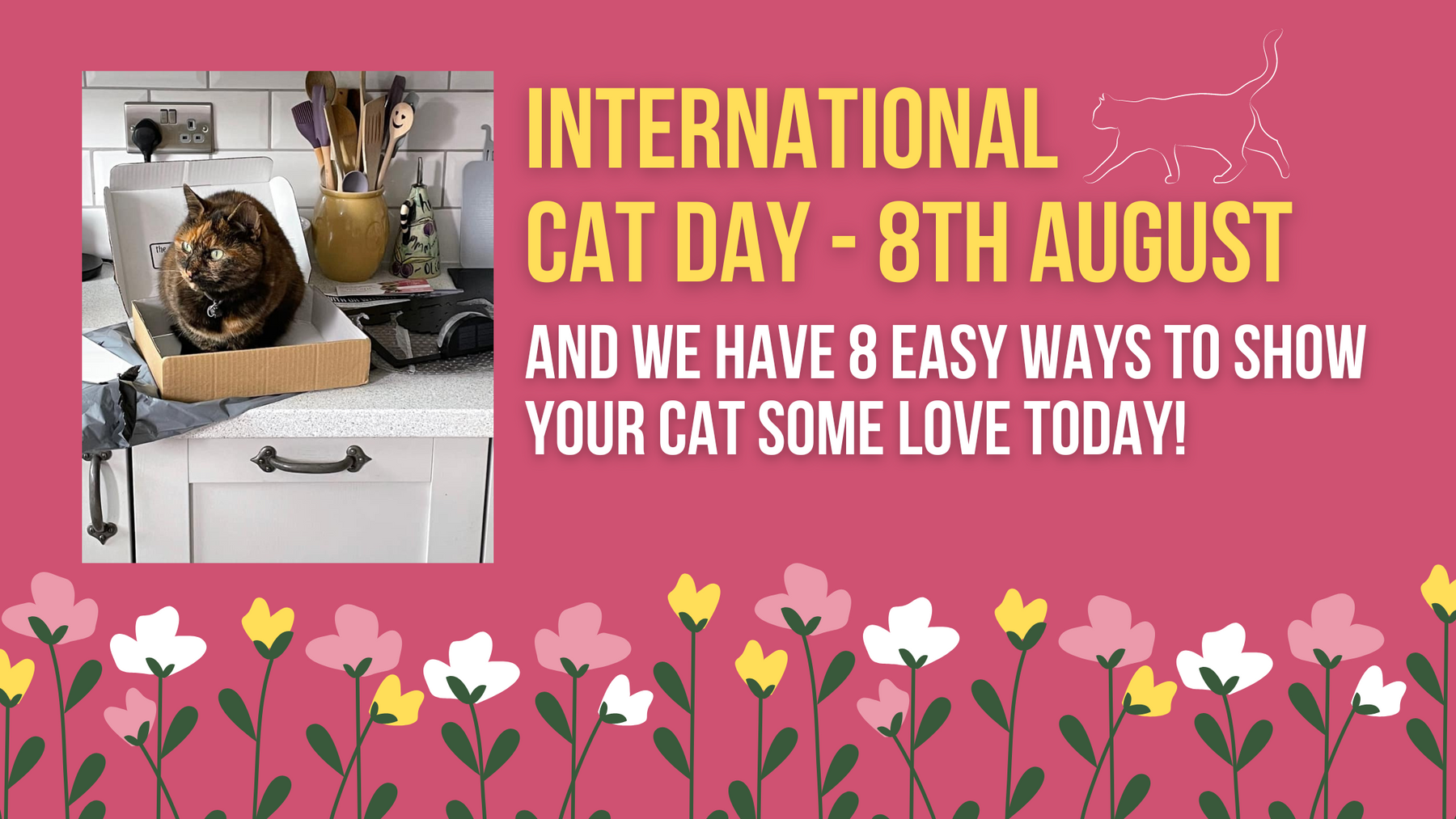 International Cat Day- 8 Easy Things You Can Do To Show Your Cat Some Love