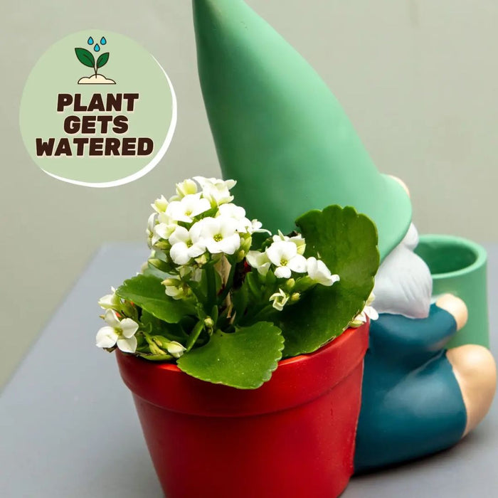Hydrating Herbert Self Watering Indoor Plant Pot