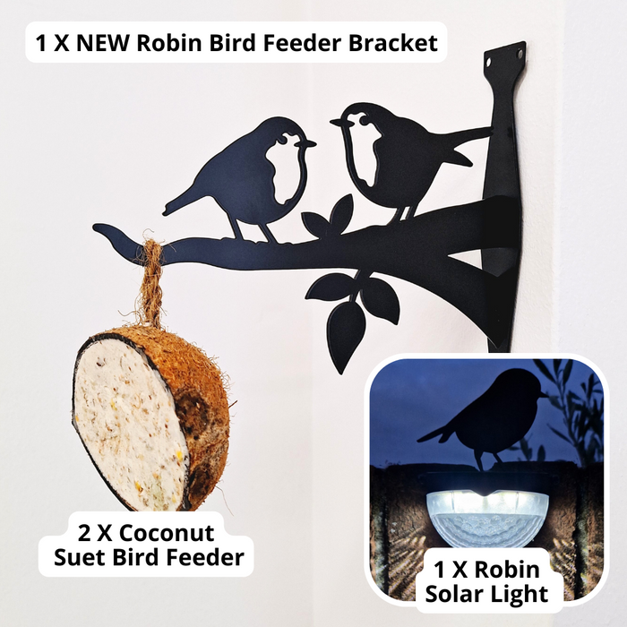 Robin Bird Feeder ⭐️ Exclusive Gift Set 1