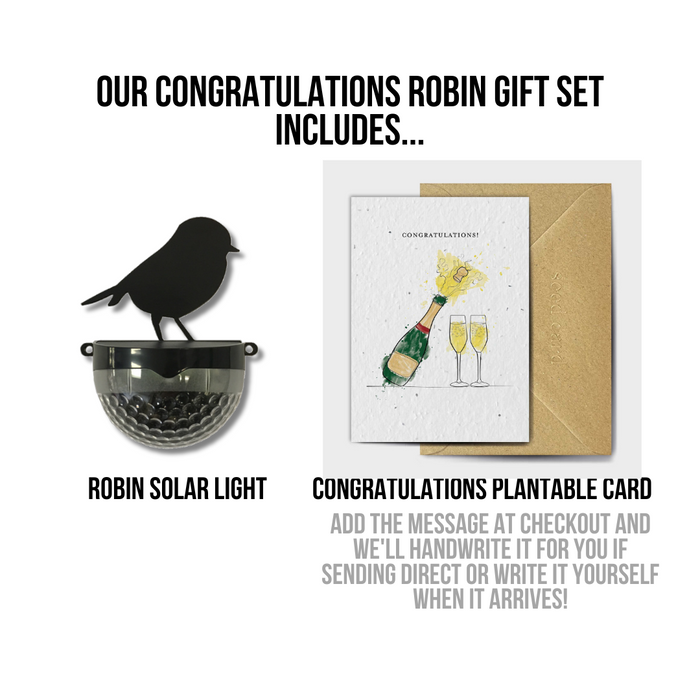 'Congratulations' Robin Gift Set