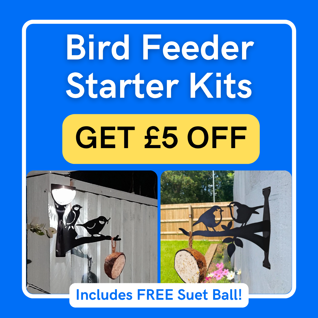 Bird Feeder Starter Kits