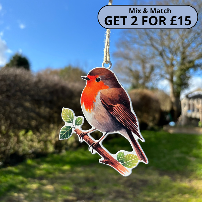 Robin On A Branch Hanging Decoration