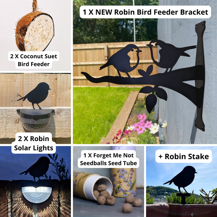 Robin Bird Feeder ⭐️ Exclusive Gift Set 2
