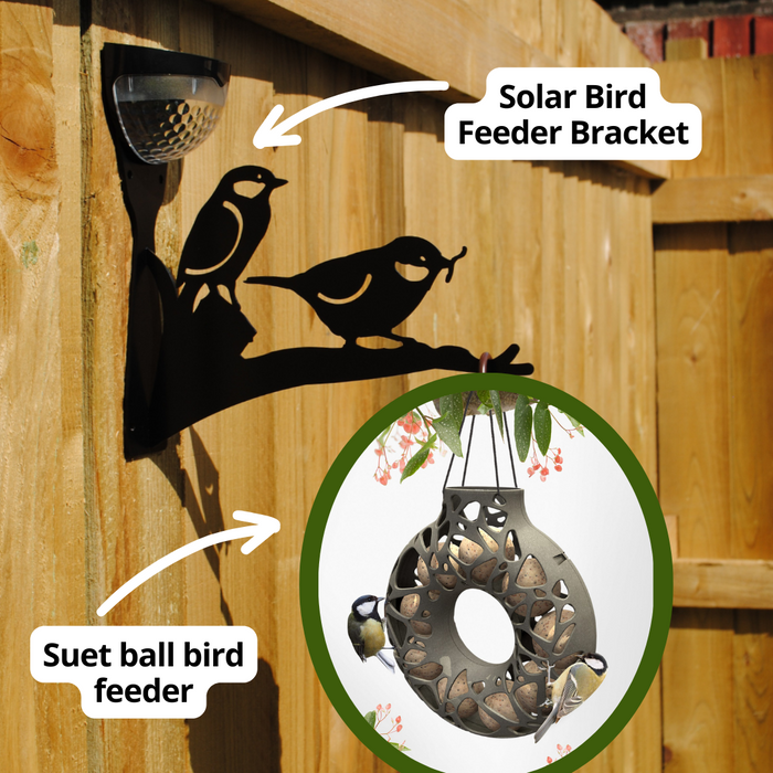 Solar Bird Feeder Bundle