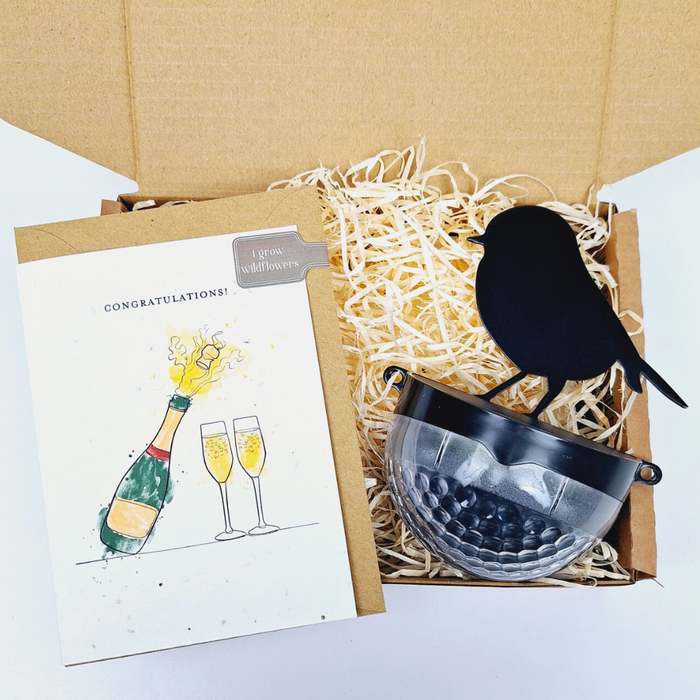 Robin Gift Set Congratulations Robin Gift Set - Flory's Online