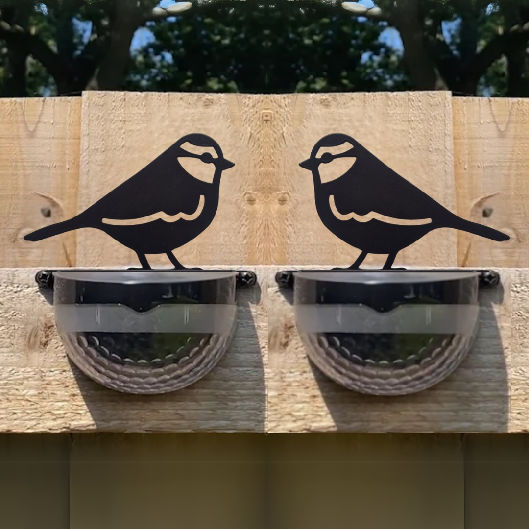 Set of 2 Blue Tit Solar Powered LED Lights — Flory's Online