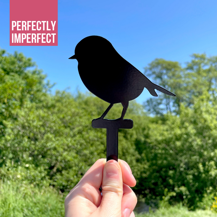 IMPERFECT- Robin Stake