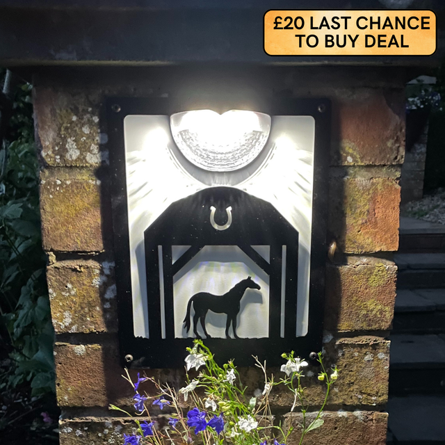 Horse In Barn Solar Light Wall Plaque