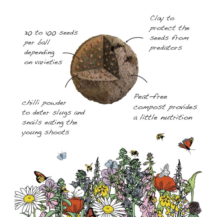 Wildlife Mix Seedballs - Wildflower Grab Bags