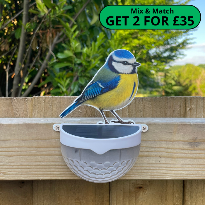 Real Blue Tit Solar Powered LED Light