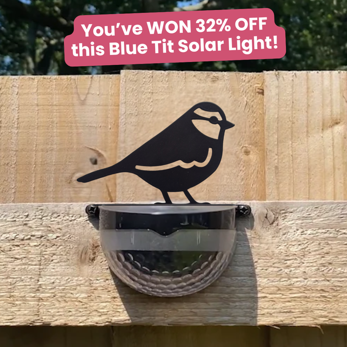 Blue Tit Cut-Out Solar Powered LED Light