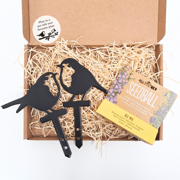 Robin Plant Pot Stakes & Seeds Gift Set