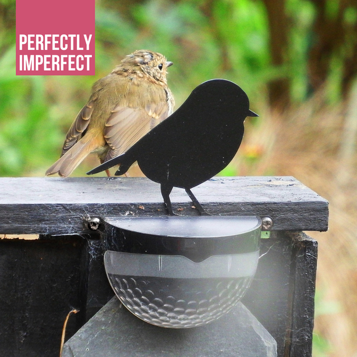 IMPERFECT- Robin Solar Powered LED Light
