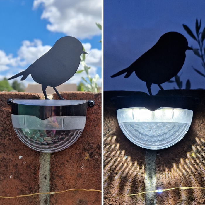 IMPERFECT- Robin Solar Powered LED Light