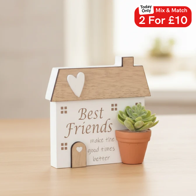 'Best Friends make the good times better' Planted With Love Standing Plaque