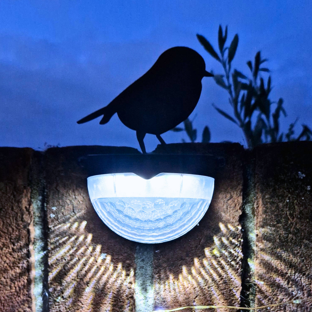 Flory's Online - Solar Lights - Unique Garden Gifts