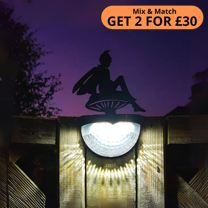Fairy Solar Powered LED Light