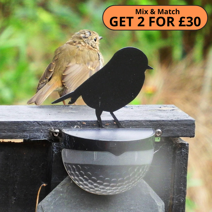 Robin Solar Powered LED Light