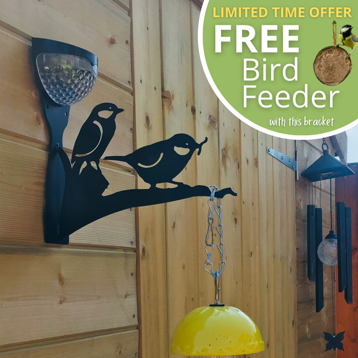 Solar Bird Feeder Bracket (with FREE coconut feeder)