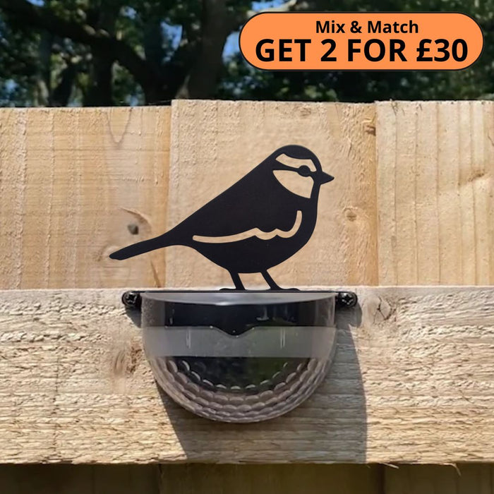 Blue Tit Solar Powered LED Light