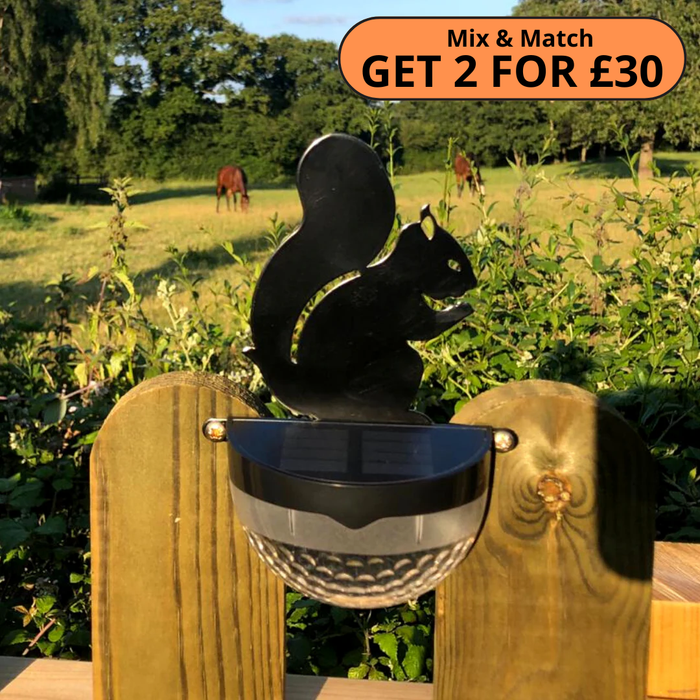 Squirrel Solar Powered LED Light