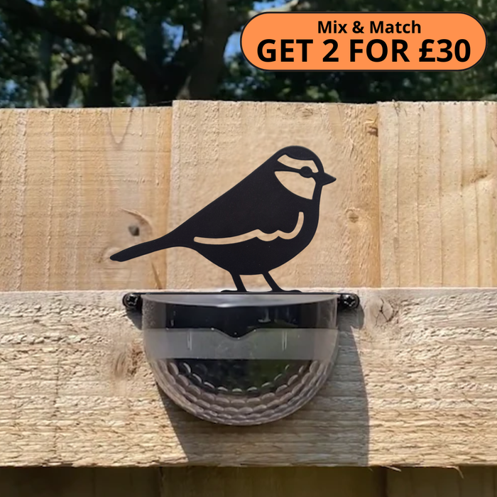 Blue Tit Solar Powered LED Light