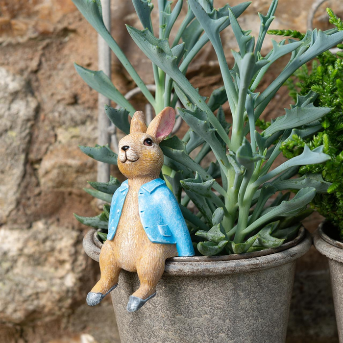 Beatrix Potter Peter Rabbit Sitting Plant Pot Hanger