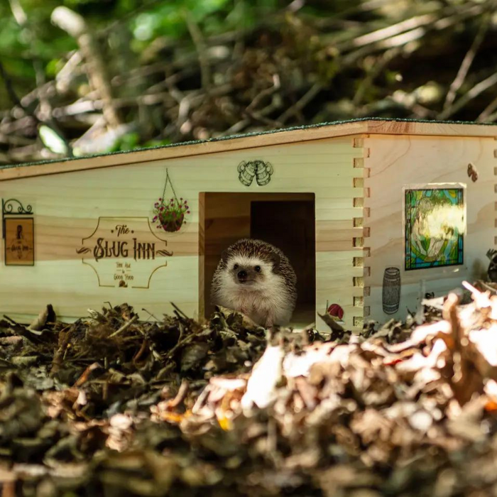 'The Slug Inn' Hedgehog House
