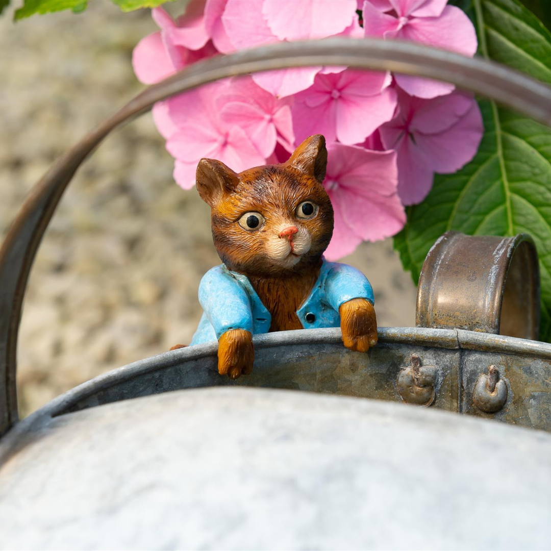 Beatrix Potter Tom Kitten Plant Pot Hanger — Flory's Online