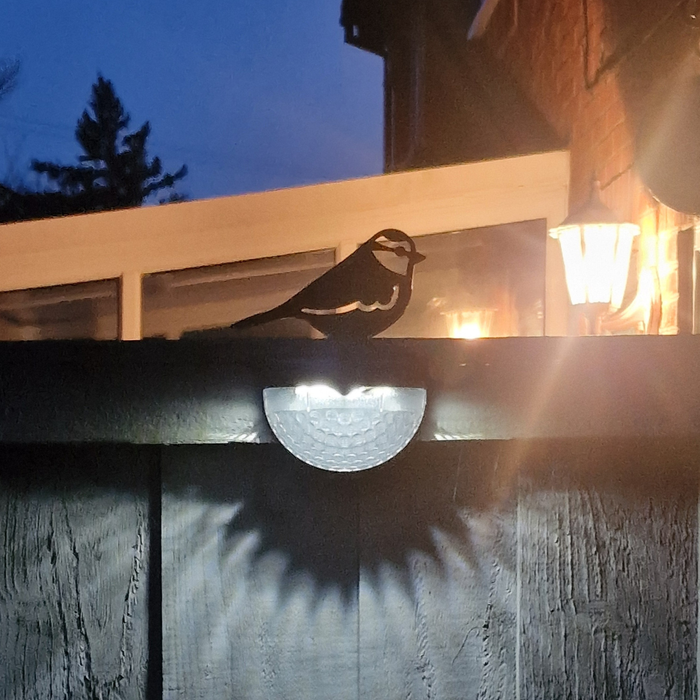 Blue Tit Cut-Out Solar Powered LED Light