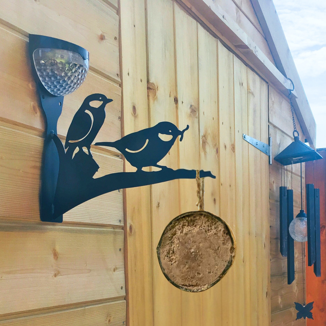 Bird Feeder Starter Kits