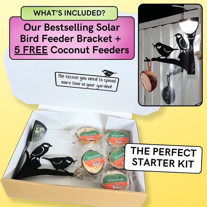 Solar Bird Feeder Starter Kit